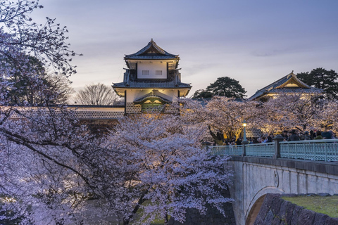 Kanazawa: Taiko Drum Workshop Tour with Sake Brewery Meal