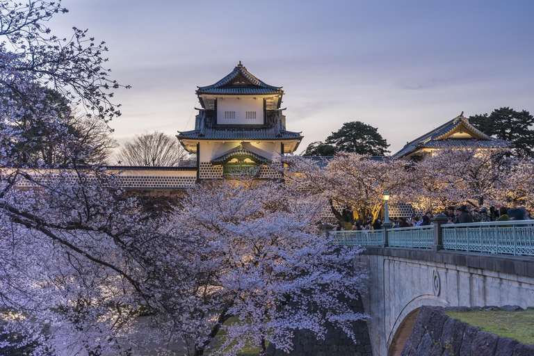 Kanazawa: Taiko Drum Workshop Tour with Sake Brewery Meal