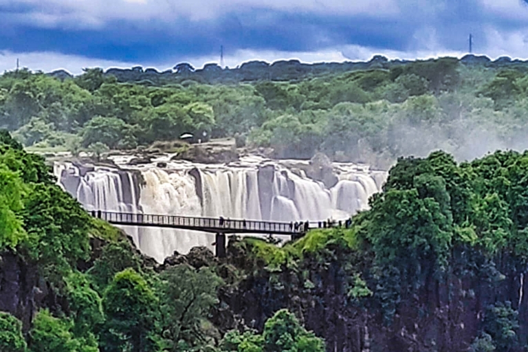 Wodospady Wiktorii: spacer z przewodnikiem do mostu i wąwozuWodospady Wiktorii: Piesze safari do mostu Victoria Falls