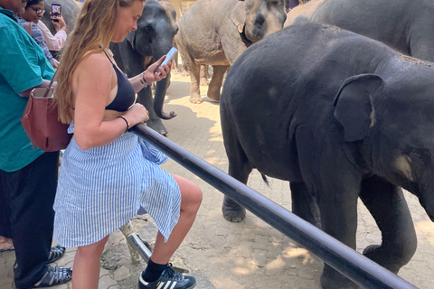 Pinnawala and Kandy Day Tour from Colombo or Negombo Pinna Walla and candy one day tour