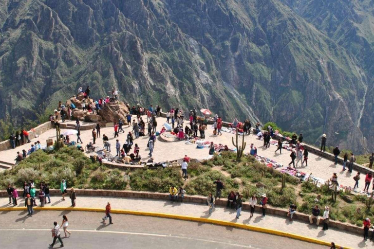 Excursion d&#039;une journée au Canyon de Colca + transfert à Puno avec repas