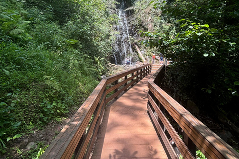 Dagvullende tour van Batumi naar watervallen