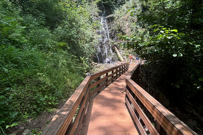 Visite d&#039;une jounée de Batumi aux chutes d&#039;eau