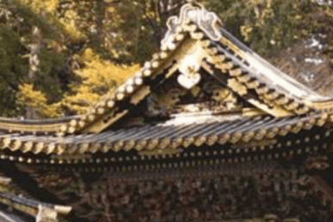 Desde Tokio; Recogida en el hotel del tour privado de día completo de Nikko en coche