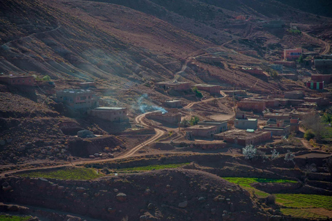 Marraquexe: Cascatas de Ourika, Montanhas Atlas, Guia + AlmoçoMarraquexe: Vale de Ourika com almoço + guia (recomendado)