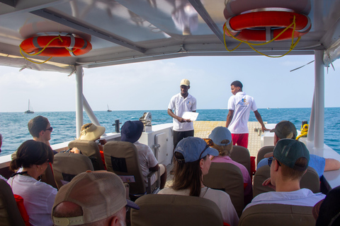 Zanzibar: Nyange Sandbank & Snorkelling tour with BBQ lunch With Meeting Point