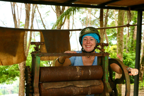 Phuket: Elephant Sanctuary & ATV Adventure Combo