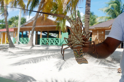 La Romana: Isla Saona para los pasajeros de los cruceros Mein Schiff