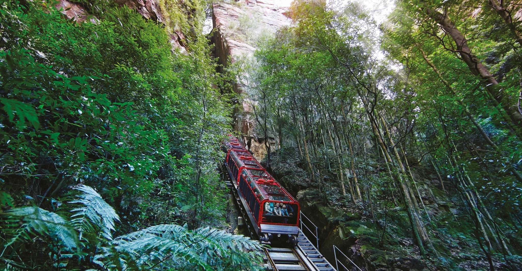 Blue Mountains Adventure: Scenic World, Zoo & Koala Photo