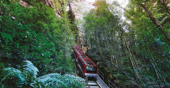 Blue Mountains: Scenic World, Zoo & Koala-Foto