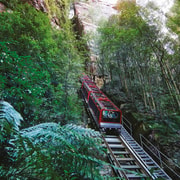 Blue Mountains Adventure: Scenic World, Zoo & Koala Photo