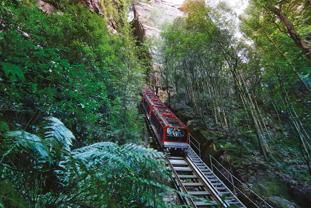 Приключение в Голубых горах: Scenic World, зоопарк и фотографирование коал