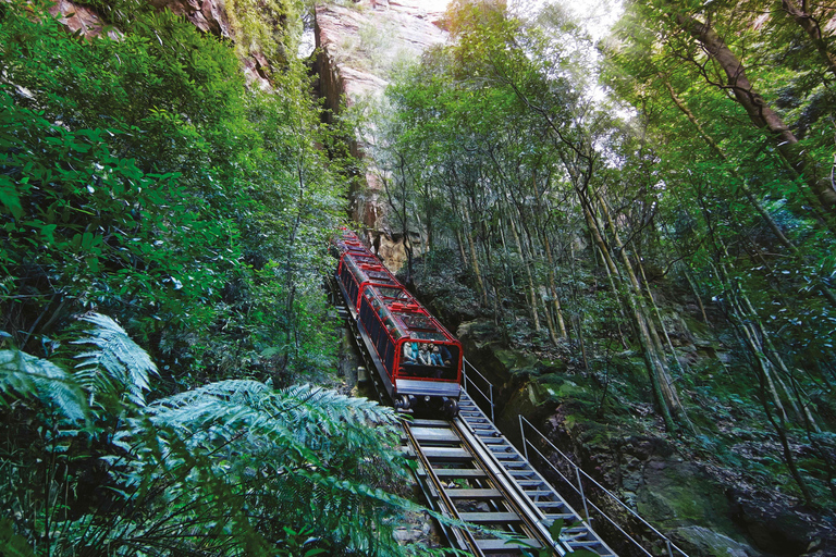 Blue Mountains: Mundo cênico, balsa, zoológico e foto de coala