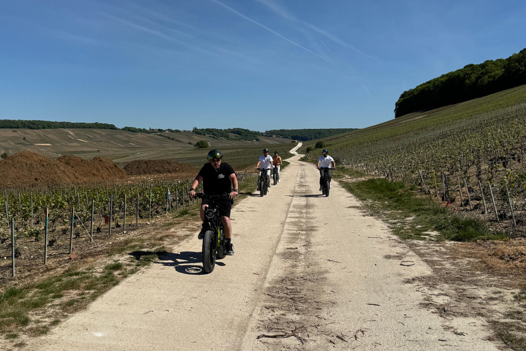 Champagne Vineyards: Tour through the heart of the vineyards on a fat tire e-bike Champagne Vineyards: Tour through the Heart of the Vines on a Fat E-Bike