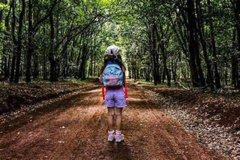 Nairobi: Trilho natural e caminhada na floresta de Karura