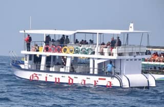Mirissa: Wal- und Delfinbeobachtung mit Geeths Crew