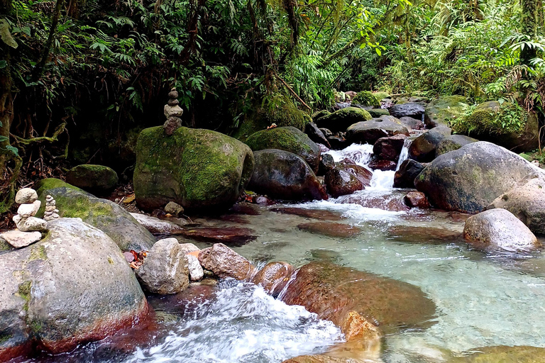 Circuit à la découverte de la Martinique : le Nord Caraïbe