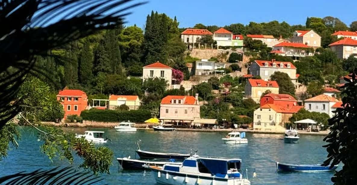 Dubrovnik/Cavtat: Best of Elafiti Islands Half-Day Boat Tour — a boat tour from Dubrovnik, Croatia