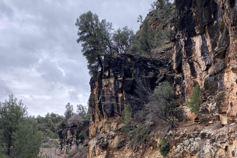 كريسوتيل أريزونا: رحلات على الطرق الوعرة إلى مناظر خلابة لوادي ريجال