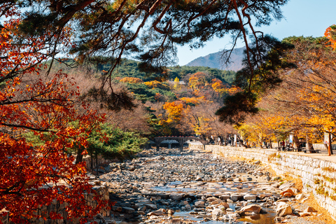 Busan: Discovery Tour With Snow &amp; UNESCO Spot
