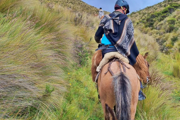 Cotopaxi: 2-Hour Horseback Riding and Limpiopungo Lagoon from Quito