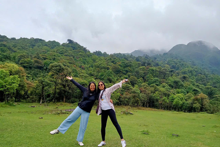 Chauffeured Ride to Silver and Love Waterfall, Lonely Tree