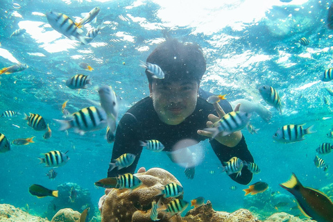 Snorkelen op Zanzibar + zeesterren en bloementuinkoralenzanzibar snorren en zeesterren