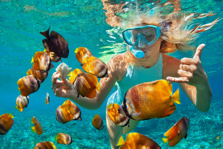 Sharm El Sheikh: Ras Mohamed Snorkelling i wycieczka nad magiczne jezioro