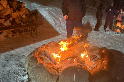 Krakow: Zakopane Snowmobile & Kulig Day Trip with Dinner