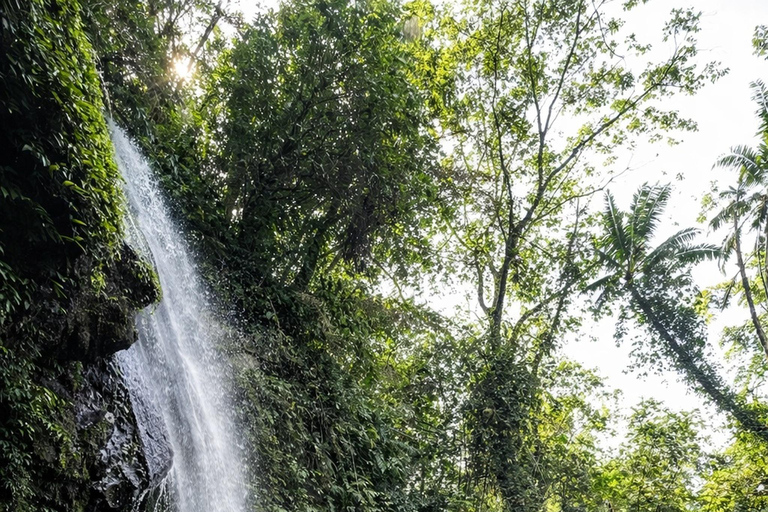 Ubud: 5 Waterfalls in One Day Tour Ubud: 5 Waterfalls With Out Entry Tickets