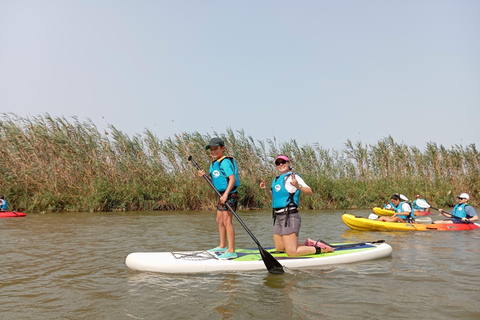 Paddleboard Excursion along the Ebro Delta - 7 routes Paddle surfing excursion through the Ebro Delta – 7 routes