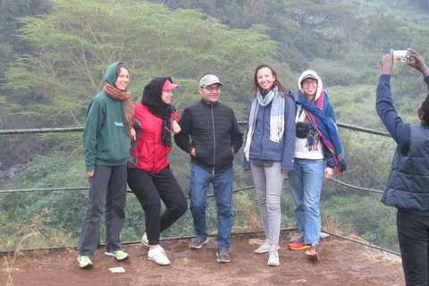 Nairobi Park Safari, Sheldrick's Orphanage & Giraffe Center Shared Drive in Open-Roof Van Game Drive