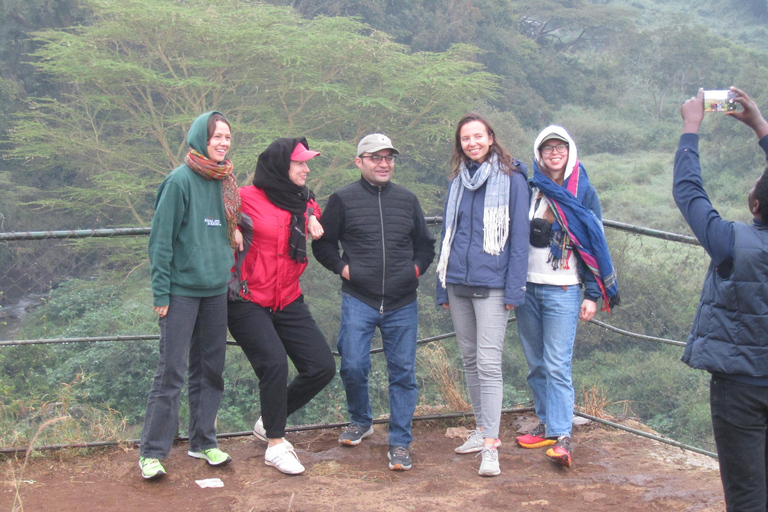 Nairobi Park Safari, Sheldrick's Orphanage & Giraffe Center Shared Drive in Open-Roof Van Game Drive