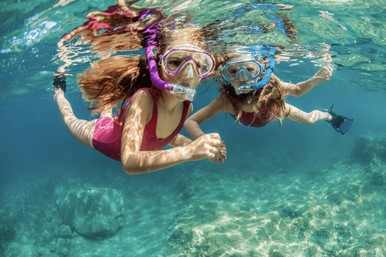 مغامرة الغوص مع سلحفاة وايكيكي