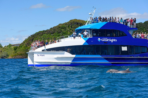 Auckland: Excursão de um dia à Baía das Ilhas com cruzeiro guiado com golfinhos