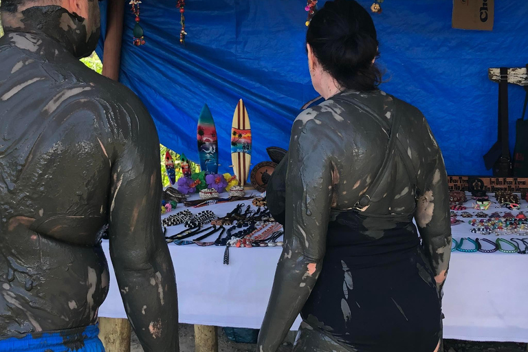 Ogród orchidei, wędrówka nad wodospad i gorące źródła SabetoFiji Marriott Resort/Queens Wharf Lautoka /Tanoa Waterfront