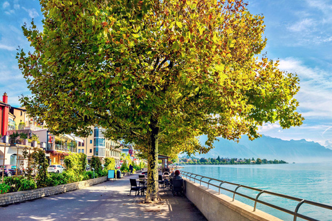 Excursión de un día privada: Lausana a Vevey, Montreux y Castillo de Aigle