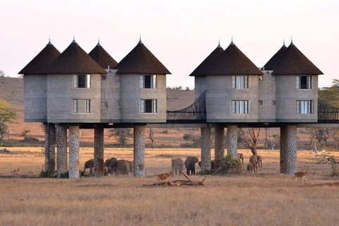 4 days Tsavo East, Amboseli and saltlick lodge safari