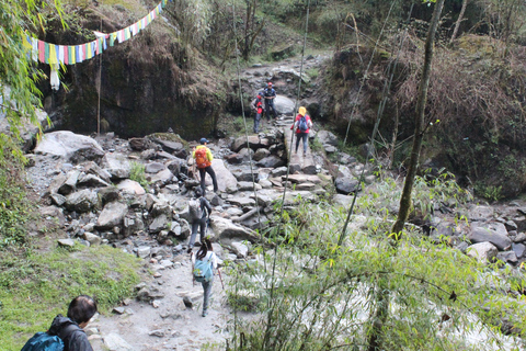 Pokhara: Trekking de 6 días al campamento base del Annapurna con guía