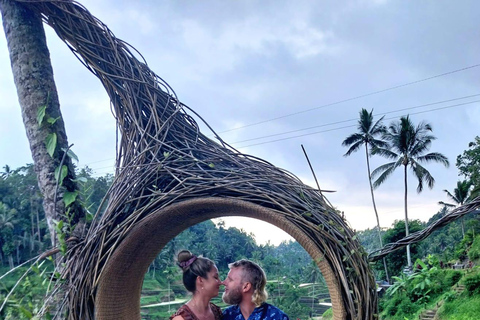 Ubud Waterfall, Temple, Rice Terrace & Art with Transfers