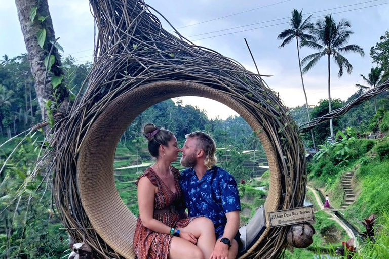 Ubud Waterfall, Temple, Rice Terrace & Art with Transfers