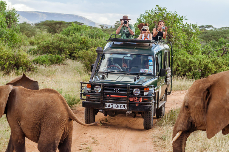 Forfait aérien de luxe de 3 jours au Maasai Mara