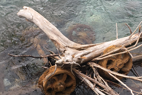 Wycieczka prywatna - Best of Canmore / Kananaskis