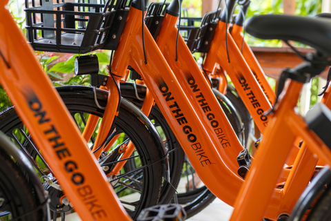 Paje: Full-Day Bike Rental with Helmet and Lock