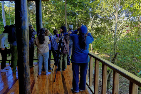 From Cusco: 4-Day Manu Cloud Forest Birdwatching Tour