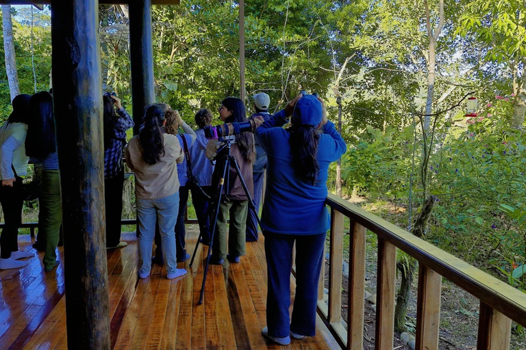 From Cusco: 4-Day Manu Cloud Forest Birdwatching Tour