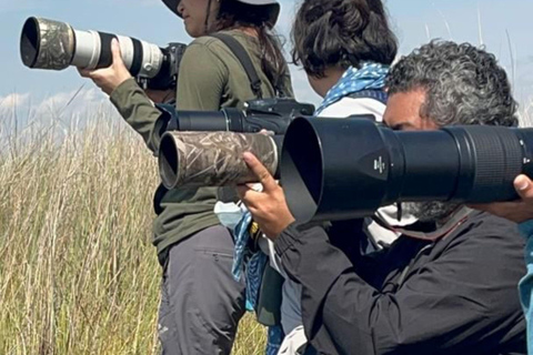 Entebbe: Mabamba Swamp and Botanical Gardens Birding Tour