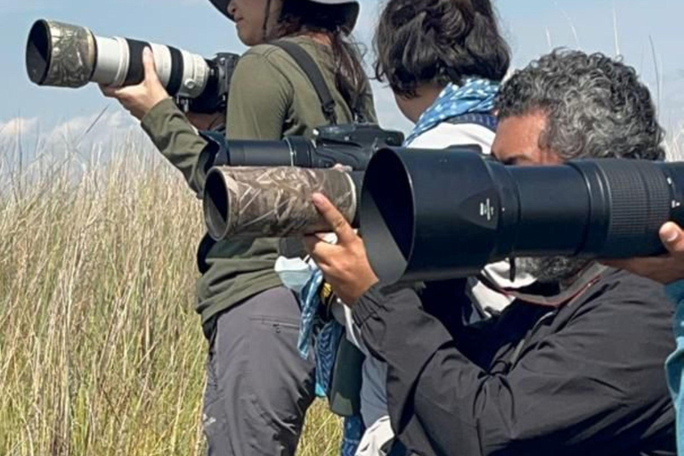 Entebbe: Mabamba Swamp and Botanical Gardens Birding Tour