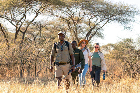 Arusha: 5-Day Serengeti and Ngorongoro Crater Safari