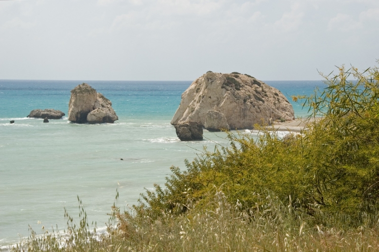 Z Pafos: wycieczka z przewodnikiem po Limassol ze Skałą Afrodyty